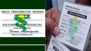 Carnet blanco y verde: ¿Cómo solicitarlos?