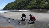 Extraño fenómeno en playa de Tonosí