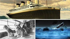 Conoce la historia de los perros que sobrevivieron al Titanic