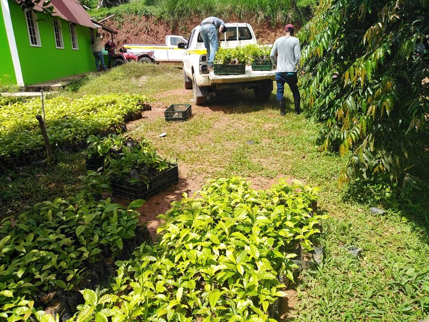 Corredor Biológico entre las áreas protegidas Reserva Forestal de Alto Guarumo y la Reserva Forestal La Yeguada.