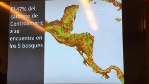 Panamá se compromete a recuperar el 100% de la cobertura boscosa Panamá se compromete a recuperar el 100% de la cobertura boscosa
