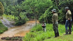 MiAmbiente mejora sendero en la Reserva Forestal El Montoso MiAmbiente mejora sendero en la Reserva Forestal El Montoso