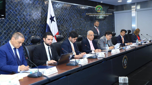 Asamblea Nacional conforma comisiones.