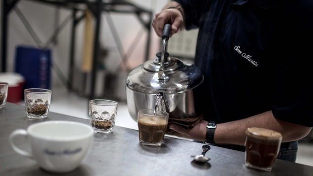 Compradores de Asia, Europa, EE.UU. y Oceanía, en subasta de café panameño