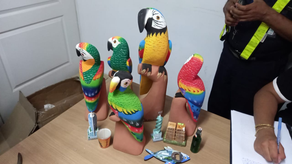 Desarticulan grupo criminal que transportaba drogas en cargas aéreas Desarticulan grupo criminal que transportaba drogas en cargas aéreas