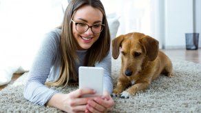 Beneficios de tener una mascota en casa