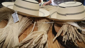 &nbsp;El Patronato del Festival Nacional del Sombrero Pintao estará exento del pago de impuestos y gravámenes nacionales.