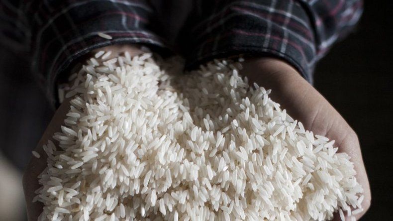 9.5 millones de dólares se ha pagado a productores, detalla MIDA