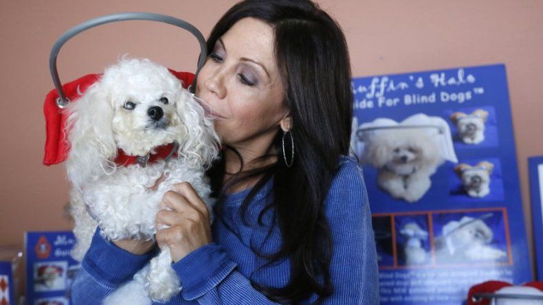 Crean productos para ayudar a perros ciegos