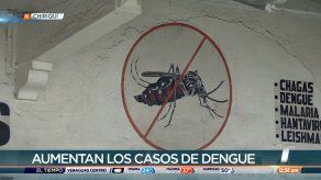 Se registran más de 170 casos de dengue clásico en Chiriquí