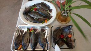 Tomada de @ARAP_Panama