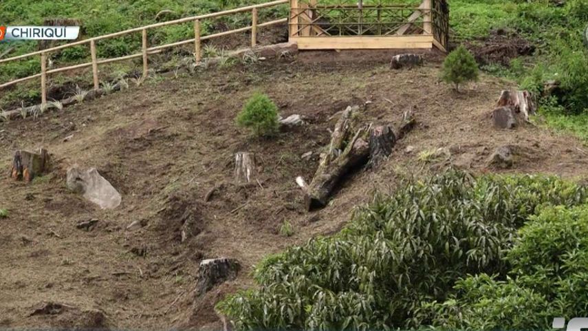 Fatal accidente en Chiriquí.