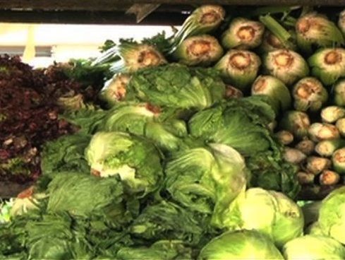 MIDA sancionará a productores que incumplan con normas sobre plaguicidas