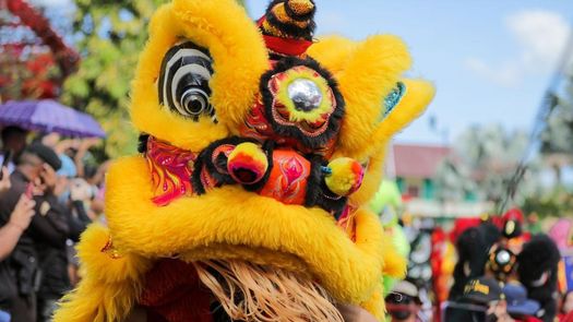 Año Nuevo chino. Año Nuevo chino.