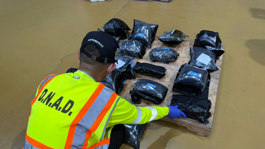 Decomisan 17 paquetes con presunta droga Decomisan 17 paquetes con presunta droga