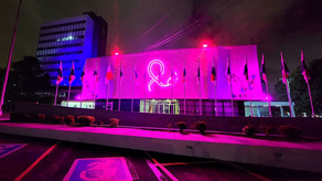 Asamblea Nacional inicia campaña de la cinta Rosada y Celeste