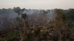 Amazonía brasileña registra deforestación récord para mes de abril