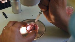 Justicia francesa rechaza la adopción de hijos concebidos por homosexuales en el extranjero