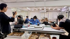 Fundación El Caño inicia temporada de excavaciones