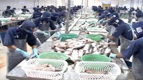 AUPSA y Minsa retiran del mercado el filete de bagre importado de Vietnam