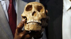 Revelan datos sobre la especie humana ancestral