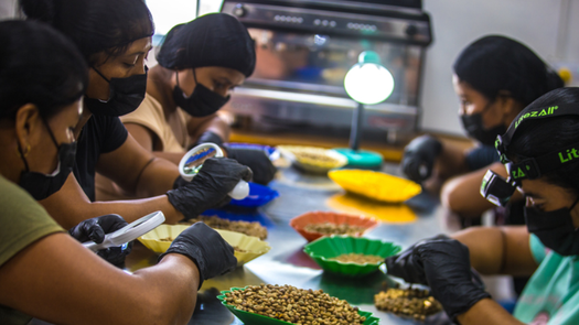 Celebración de World of Coffee 2026.