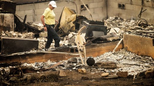 En el noroeste de Montana, un incendio iniciado el viernes por la tarde cerca de la localidad de Elmo en la Reserva India de Flathead abarcaba 52 kilómetros cuadrados (20 millas cuadradas), según responsables de bomberos.