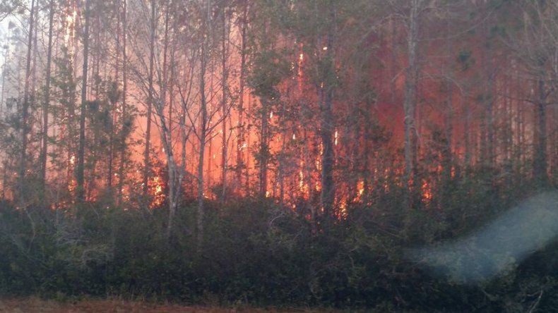 Un hombre en Florida quería quemar libros e incendió 27 estructuras