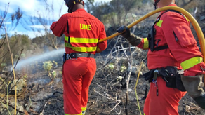 Ejército español se suma a la lucha contra el incendio en isla de Tenerife.