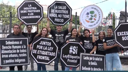 Movimiento Alimentación Saludable pide avance en ley de etiquetado frontal.&nbsp;
