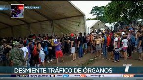 Autoridades reiteran que no existe red de tráfico de órganos de menores de edad
