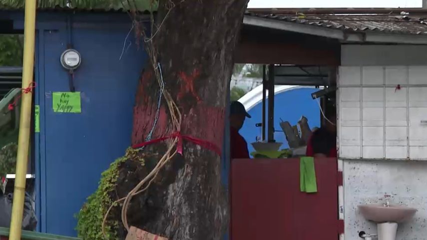 MiAmbiente frena tala de árboles en Vía España.