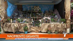 Nacimiento gigante recrea sus 15 escenas