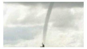 Captan tromba marina en Colón