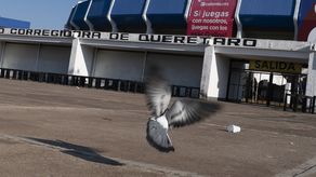 Querétaro jugará a puerta cerrada