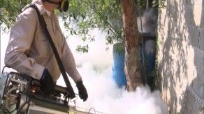 Alerta por aumento de dengue en Las Garzas de Pacora