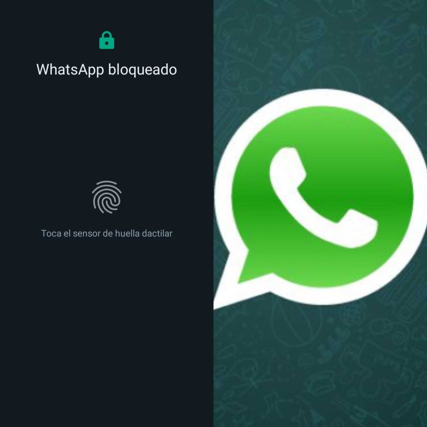 WhatsApp: conoce cómo puedes bloquear el acceso a la app en tu celular.