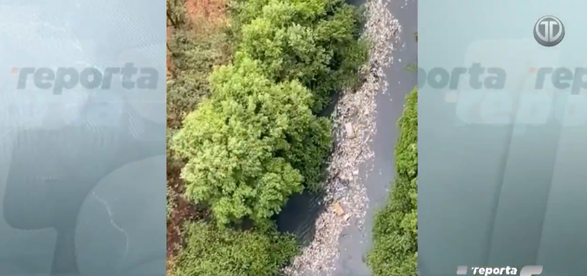Contaminación urbana: Gran cantidad de basura al mar&nbsp;