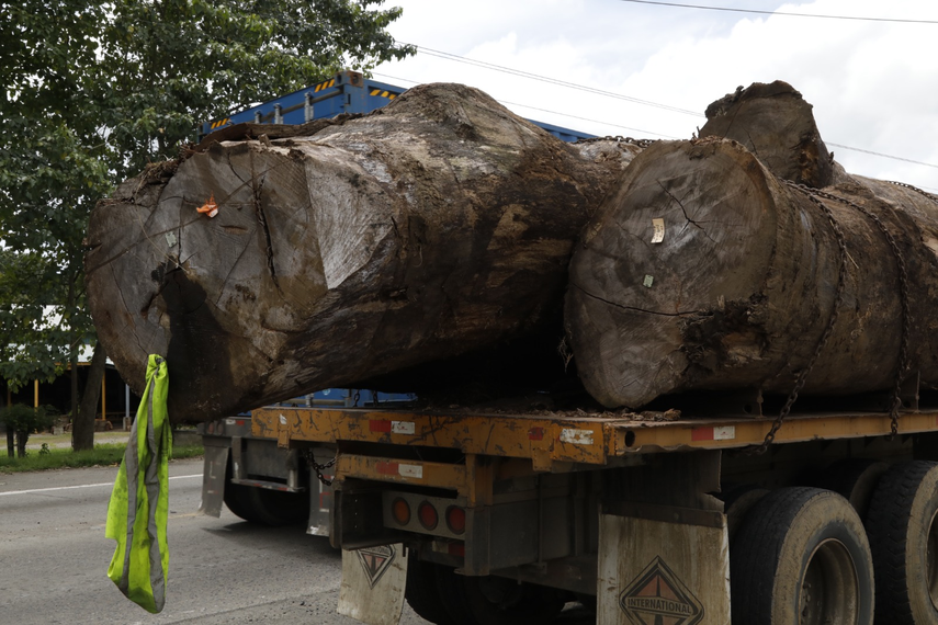 MiAMBIENTE regula el transporte de madera
