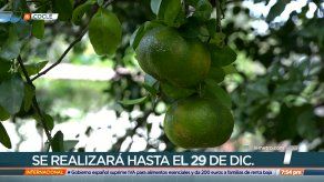 Empiezan preparativos para la Feria de la Naranja