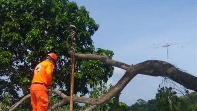 Veinticinco personas afectadas tras las lluvias en Panamá Oeste y Colón