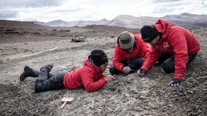 Hallan un nuevo mamífero de la era de los dinosaurios en la Patagonia chilena
