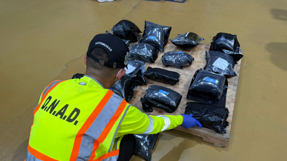 Decomisan 17 paquetes con presunta droga Decomisan 17 paquetes con presunta droga