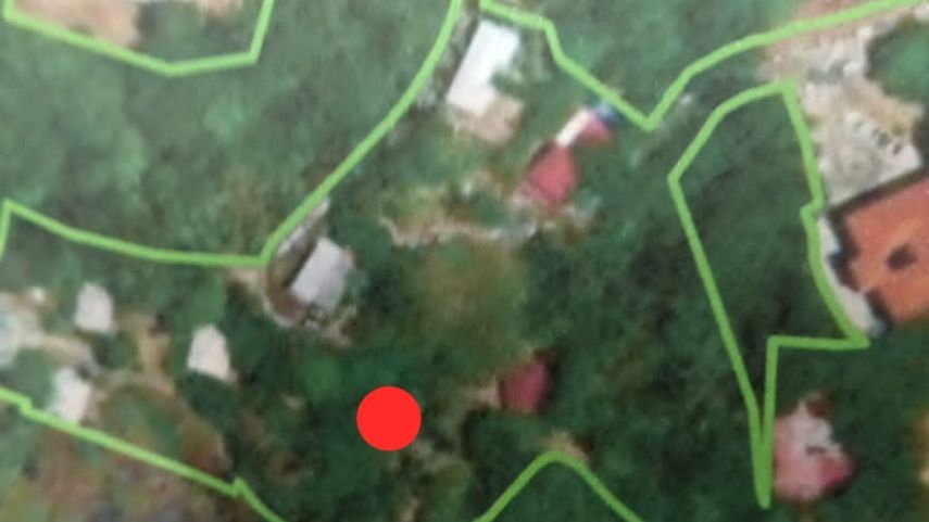 Ministerio de Ambiente aclara la situación&nbsp;