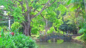 Buscan establecer en congreso plan de acción para la conservación de los jardines botánicos