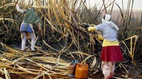 Aumenta producción de etanol en Brasil Aumenta producción de etanol en Brasil