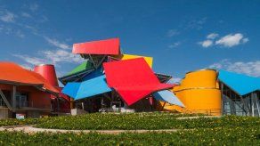 @biomuseo