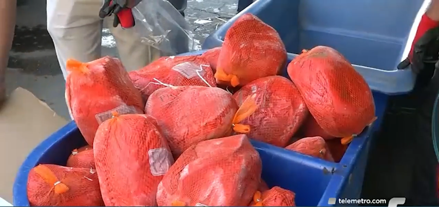 Cajas navideñas del IMA.