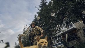 La guerra en Ucrania inició el 24 de febrero.