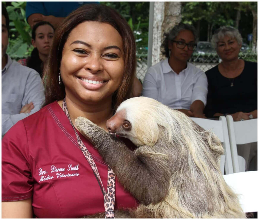 Parque Summit invita al público a celebrar el ‘Día mundial del perezoso’ Parque Summit invita al público a celebrar el ‘Día mundial del perezoso’
